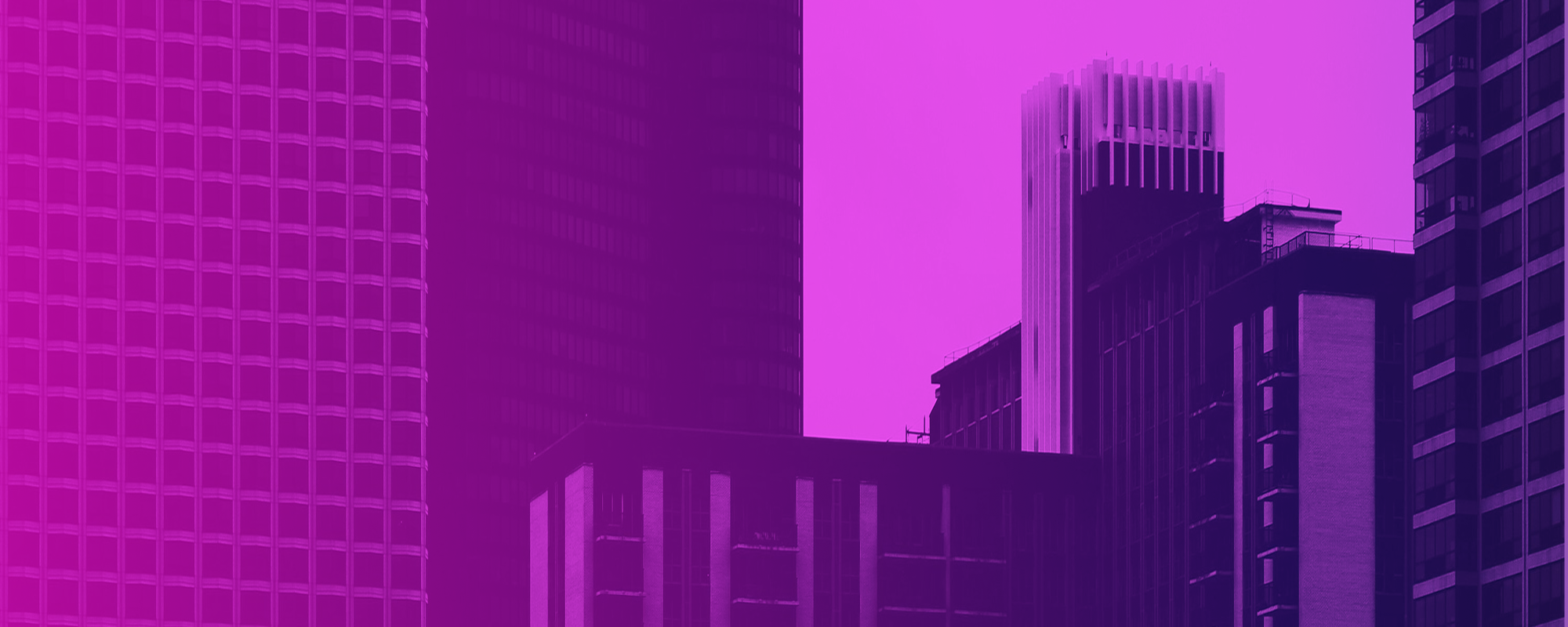Lets Build a High-Performing Team Together